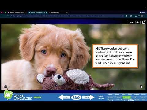 Lightbox in Monarch Demonstration