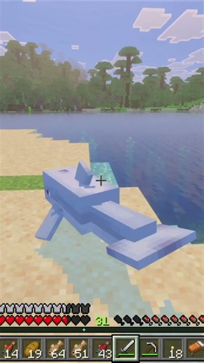 MINECRAFT DOLPHIN #minecraft #minecraftshorts