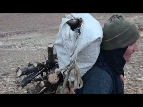 雨雪来临，婆婆无家可归，捡柴换雨布