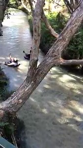 2.9K views · 214 reactions | Bucket list adventures await! Who would you float down Eli Creek with? ☀️ | K'gari Explorer Tours | Facebook