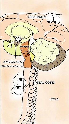 Ever Wake Up But Your Body Can't Move? Sleep Paralysis Explained #sleepparalysis #animation
