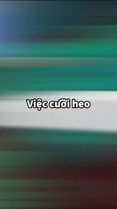 59K views · 1.6K reactions | CƯỠI HEO Trong Minecraft Java TỐT HƠN Bedrock? #hunggvn #minecraft | Hungg Too | Facebook