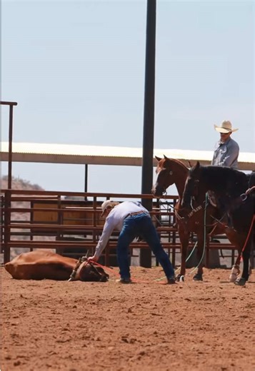 Team Roping Practice with Garrett and Brock