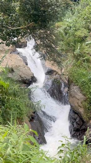Nature Waterfall ❣️ #shorts #relaxing #relax #watersounds #asmr #naturesounds #waterfall #bamboo