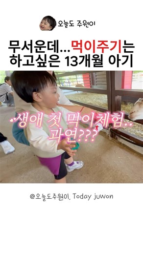 먹이주기 체험 갔다가 표정 5번은 더 바뀌는 13개월 주원이ㅋㅋ#먹이주기