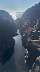 You have to see these animals I found inside of a crack in the rocks at the beach! #animals #nature | Jacob Colvin