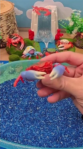This Crab Isn't a Crab at All! 😮🦀 | Horseshoe Crab Facts