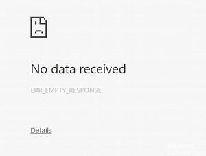 Troubleshooting: ERR_EMPTY_RESPONSE or No Data Received Error on Windows 10 - Windows Bulletin