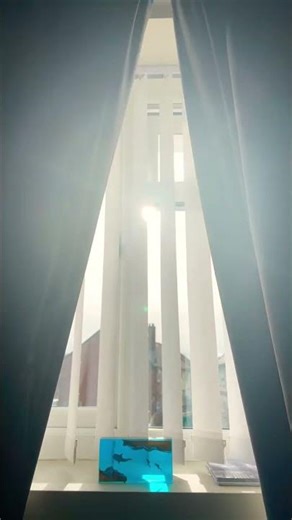 Think fast chucklenuts #funny#comedyshorts