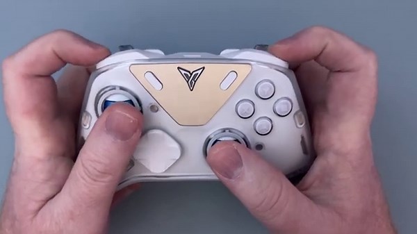 FINALLY Reviewing The Flydigi Apex 5!