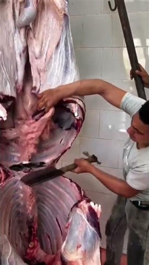 Mira cómo funciona la cuchilla !! 😱