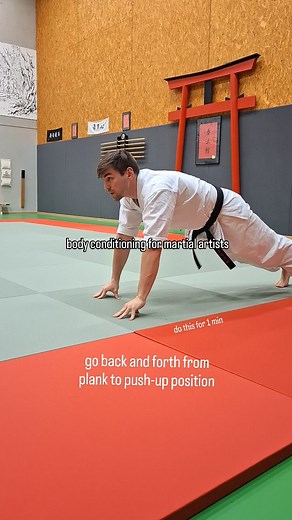 Dennis Noetzel | Shaolin Kempo | Way of Martial Arts on Instagram: "Save for later 🤜🏻🫷🏻 A push-up drill for martial artists to develop power and improve your strikes ⛩️ And to condition your knuckles, fists and wrists ✅️ take this push-up and plank variation to your workout 🥋 Try it out! Osu 🤜🏻🫷🏻 -========================- The name is Dennis Kempo, and I am a black belt in Shaolin Kempo Karate/Kungfu🥋 Follow me for more martial arts inspo and motivation for your training ⛩️ 🏰 Martial 