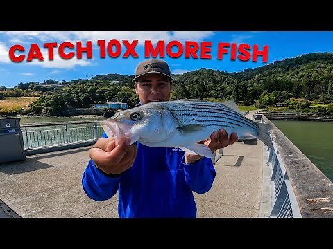 How To Fish SF Bay Area Piers - In Depth Guide