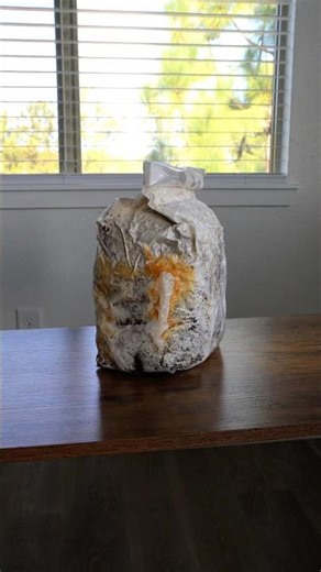 Yellow Liquid in Your Spawn Bag? (Watch This)