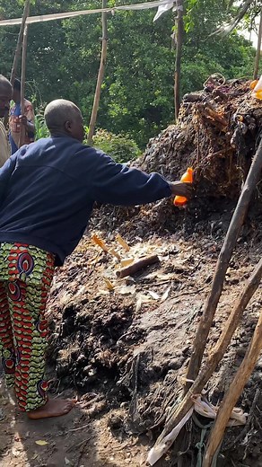 Documentando en África. Benin. Dankoli. #tiktok #tiktoktravellers #tiktoktravel #viral #documentary #travel