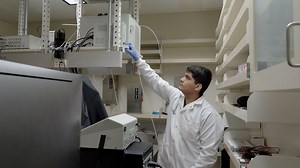 Multimodal Optical Imaging Platform for Studying Cellular Metabolism