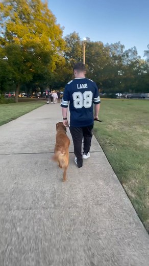 Don’t be average! Be GREAT! Don’t be fooled by the hype and the Bullshit! Take control of your dog and that relationship and you will achieve beyond average results! | K9 Control