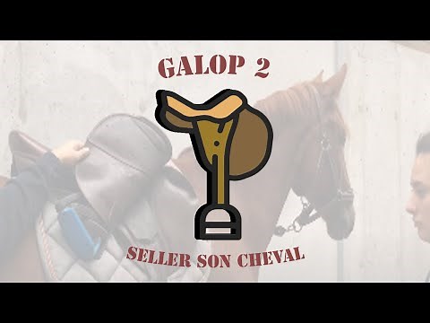 PREPARATION GALOP 2 : SELLER SON CHEVAL