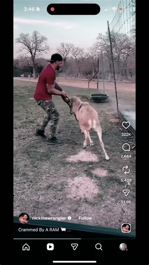 World's FUNNIEST Moments Caught On Camera