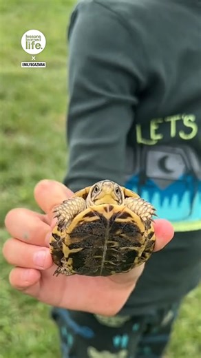 Nephew gets bit by tiniest snapping turtle 🐢🤣 | Lessons Learned In Life