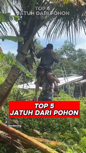 Top 5 Jatuh Dari Pohon 🤣 #videolucu #jatuhdaripohon