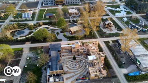 The activist preserving trees in India