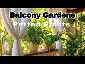 Small Balcony Garden: Create a Potted Plant Paradise (Beginner-Friendly)