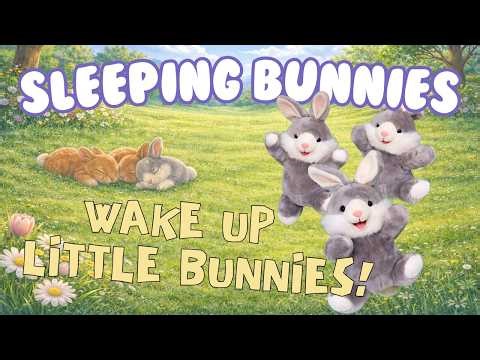 Sleeping Bunnies | Hop Little Bunny Song | Easter & Spring Songs for Kids