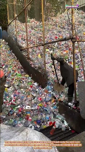 The Art of PET Plastic Recovery Operations