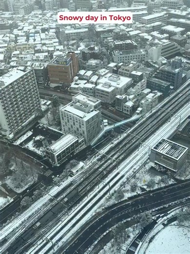 Tokyo in the snow is something else. ❄️ It is usually just once a year that we get this scenery! 🌨️The contrast of the snow against the city streets is beautiful. Did you manage to build a snowman? ☃️ It was cold but so worth heading out for. #tokyosnow #winterintokyo #japantravel #snowday #tokyolife