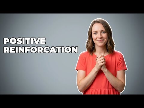 How Do I Effectively Reinforce Desired Student Behaviors?