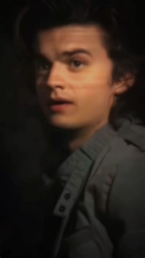 Steve Harrington editttt