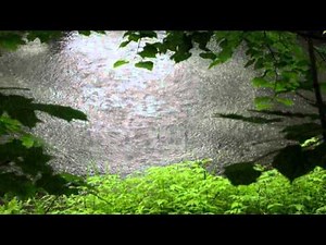 Rainy Lake - video designed by dreamscene.org