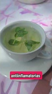 🌿 Plantas aromáticas para relajarte y aliviar el dolor de cabeza | Beneficios naturales