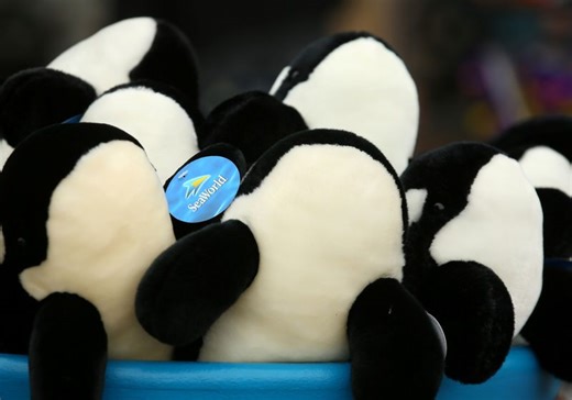 SeaWorld sued for mishandling 'Sesame Street' brand