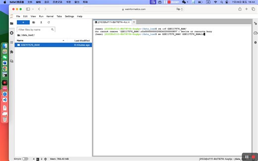 0002b-如何快速开展一个单细胞课题之数据整理csv或txt格式