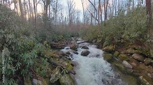 Rushing Water in Creek in the Smokies in early Spring