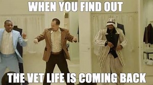 The Vet Life returns in one month! | Animal Planet