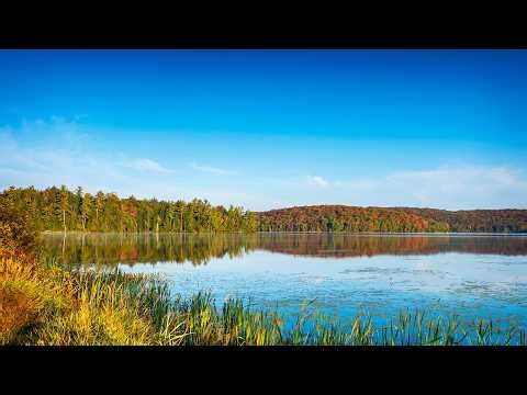 Adirondack Rail Trail at Lake Colby