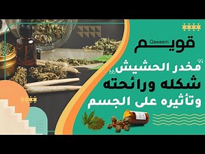 مخدر الحشيش : كيف يكون شكله ورائحته وتأثيره على الجسم
