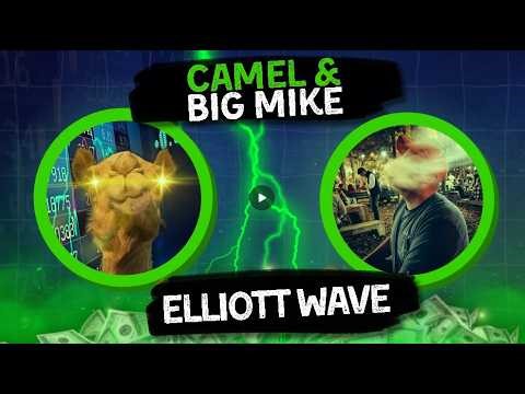 Camel & Big Mike Collab (link in video)