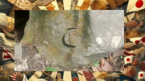 261K views · 4K reactions | TURTLE MARKER ASSESSMENT..(#FullVideo) #yamashita #treasure #markers #assessment #insights #turtle #footmark #triangle #passageway #trees @followers T.H Compilation Stories | T.H Compilation Stories | Facebook