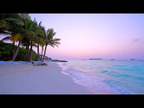 🏝 Beach Screensaver From a Tropical Remote Island Paradise