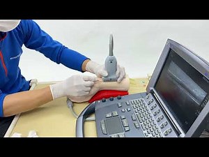 M210 橈骨動脈ラインの確保トレーナー（エコー対応）