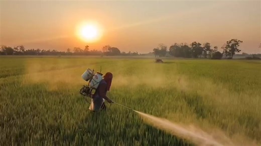 🌞พระอาทิตย์ยามเย็นย่อมสวยงามเสมอ🌪️😉#อู่เล็กๆเด็กประกอบ😎 #ทีมงานท้ายหมู่10🌾🤫 #เครื่องฉีดยาซิ่งๆ🇹🇭🇹🇭💯🙏👌🌾 #คลองขลุงหวานเจี๊ยบ🥰 #เปิดการมองเห็น