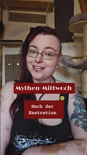 Kastration bei Katern #ernährungsberatung #tiergesundheit