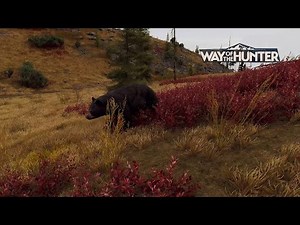 How does the new herd management fitness potential graph work