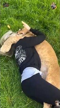 The Beautiful Bond Between Animals and Humans ❤️ Pure Love Caught on Camera