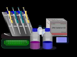 Good Laboratory Practices - Molecular Laboratory