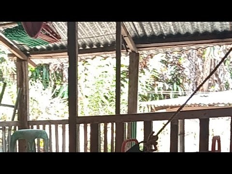 Bicolana Hair Mix Vlog.good Friday rest day.